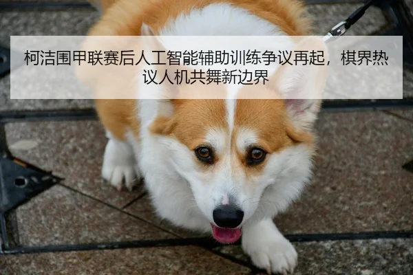 ke-jie-wei-jia-lian-sai-hou-ren-gong-zhi-neng-fu-zhu-xun-lian-zheng-yi-zai-qi-qi-jie-re-yi-ren-ji-gong-wu-xin-bian-jie-2-672.jpg