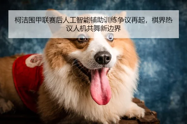 柯洁围甲联赛后人工智能辅助训练争议再起，棋界热议人机共舞新边界