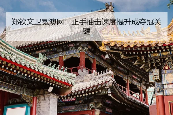 zheng-qin-wen-wei-mian-ao-wang-zheng-shou-chou-ji-su-du-ti-sheng-cheng-duo-guan-guan-jian-3-310.jpg