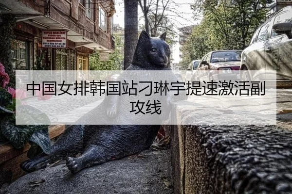 中国女排韩国站刁琳宇提速激活副攻线