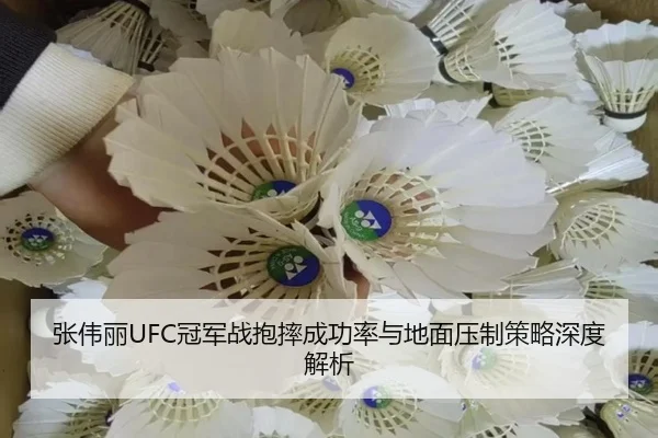 张伟丽UFC冠军战抱摔成功率与地面压制策略深度解析